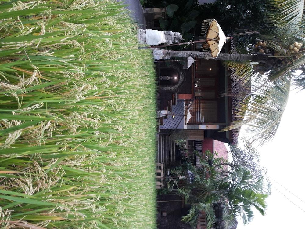 Bali Putra Villa Ubud Zewnętrze zdjęcie